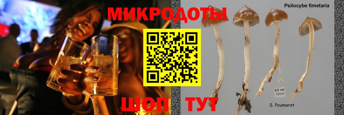 Первоуральск  Галлюциногенные грибы Cubensis  наркота  Вход с VPN  Галлюциногенные грибы Psilocybe 